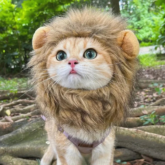 Cute Lion Mane Cat Wig Hat Funny Pets Clothes Cap