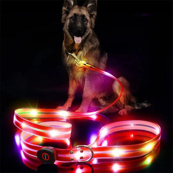 Guinzaglio per cani con luci a LED che si illumina al buio