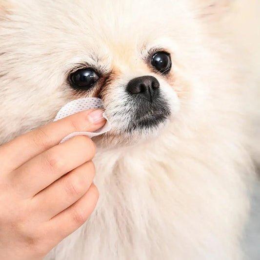 Salviette oculari per cani, cuccioli, gattini, rimuovi lacrime, detergente