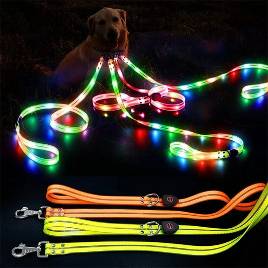 Led Light Up Dog Leash Walking Safety Glow in The Dark