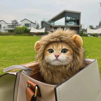 Cappello con parrucca e criniera di leone, divertente per animali domestici