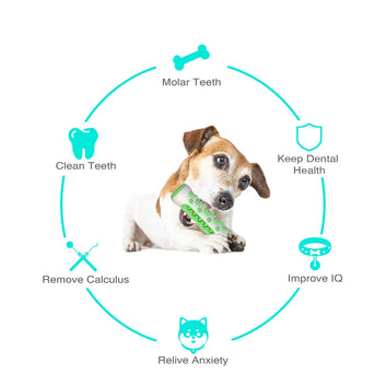 Giocattoli da masticare per cani Spazzolino da denti in gomma Bastoncino molare Dente