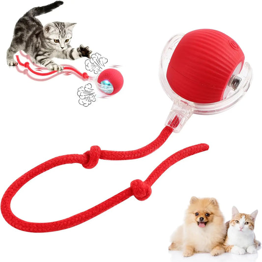 Interactive Rolling Cat Ball, Dog Toys Rolling Ball