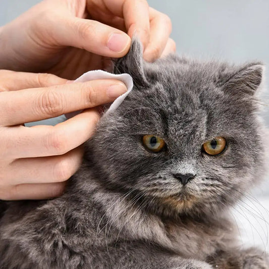 Salviette oculari per cani, cuccioli, gattini, rimuovi lacrime, detergente