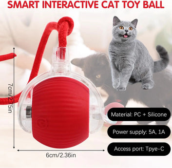 Interactive Rolling Cat Ball, Dog Toys Rolling Ball