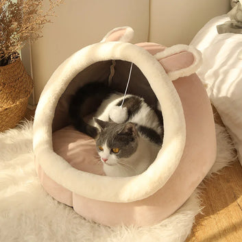 Deep Sleep Cat Bed Cartoon Pet Bed Foldable Removable